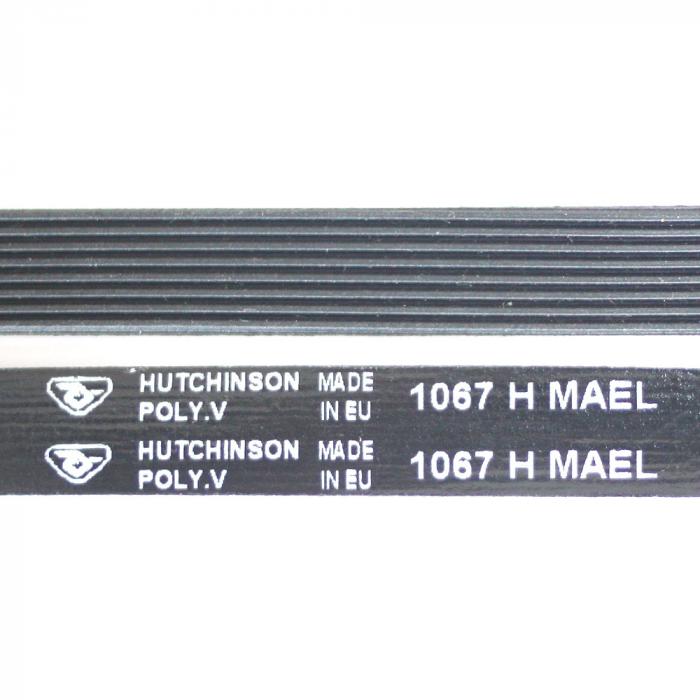 H029-700x700
