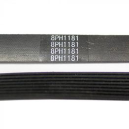 H1181-700x700