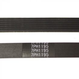 H1195-700x700
